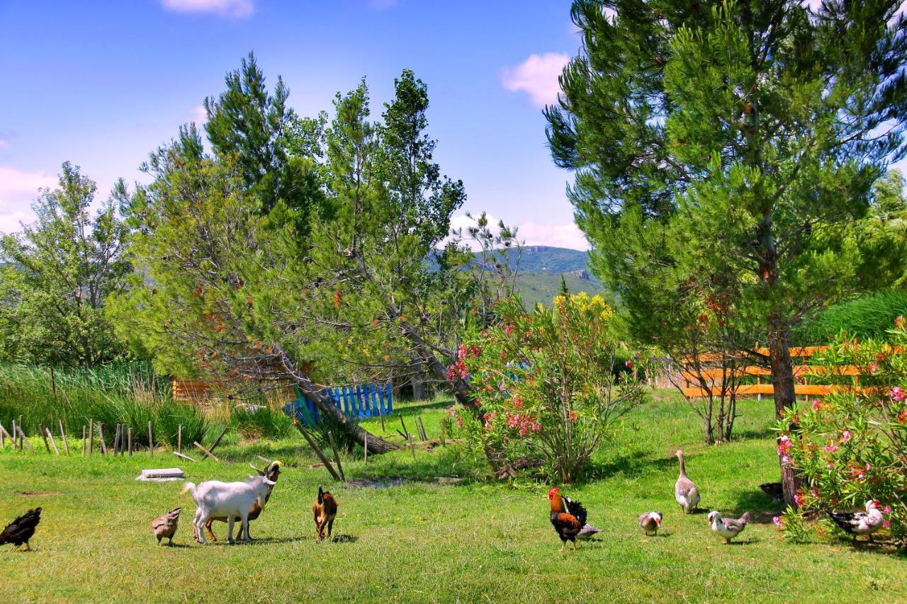 Camping La Peiriere Tuchan Exteriér fotografie
